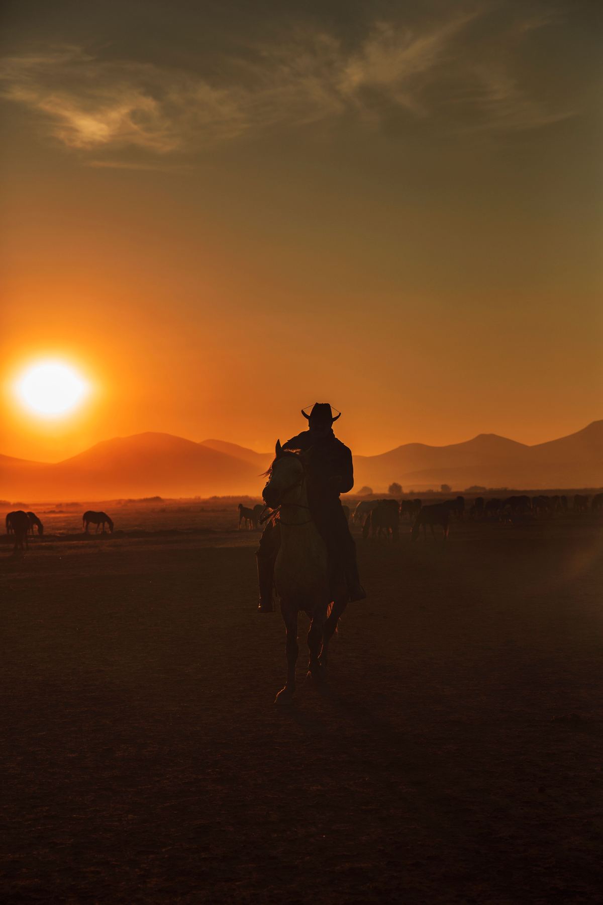 Cavaleiro no campo ao pôr do sol